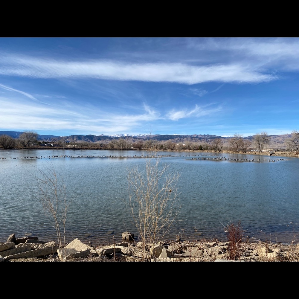 Meet your Posher, Kimmy!